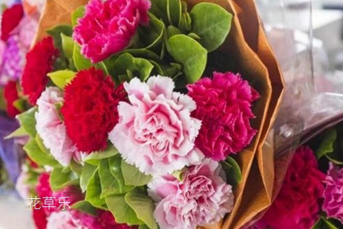 虐狗七夕节将至,七夕节送什么花给女朋友呢?